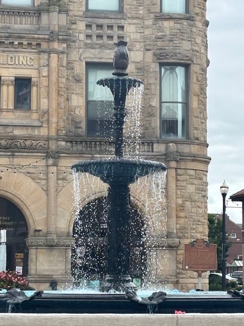 A close up of a bunch of flowers with a dark background.