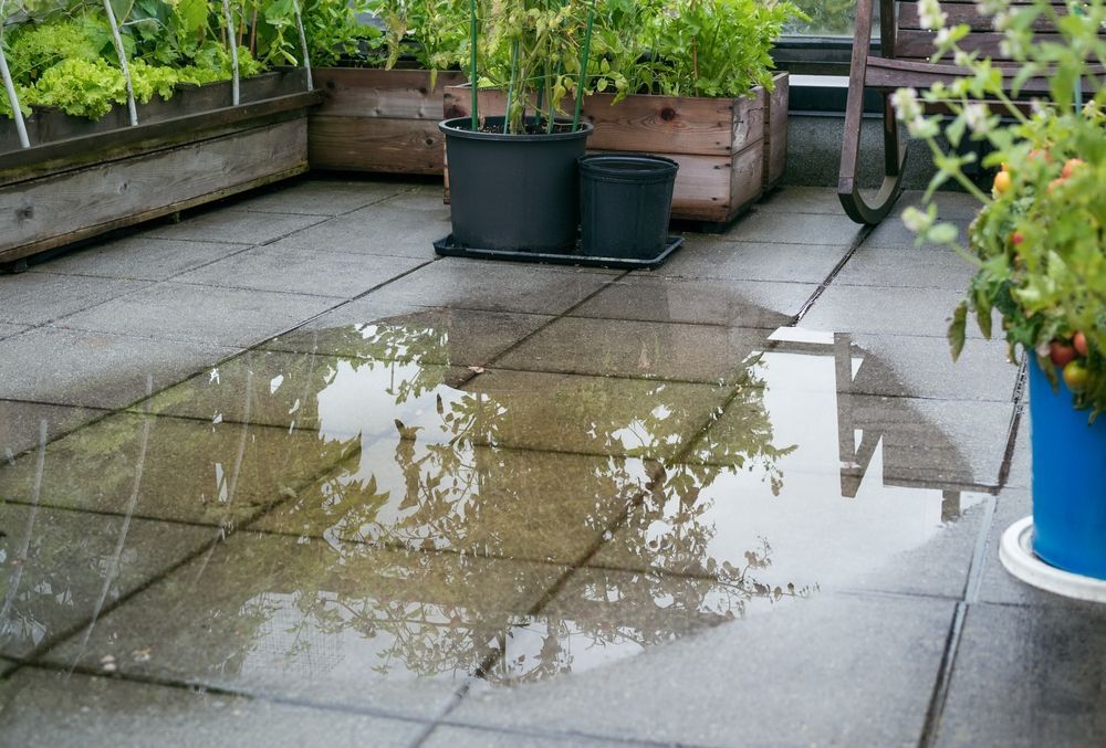 Wet patio tiles reflecting potted plants and a blue planter after rain