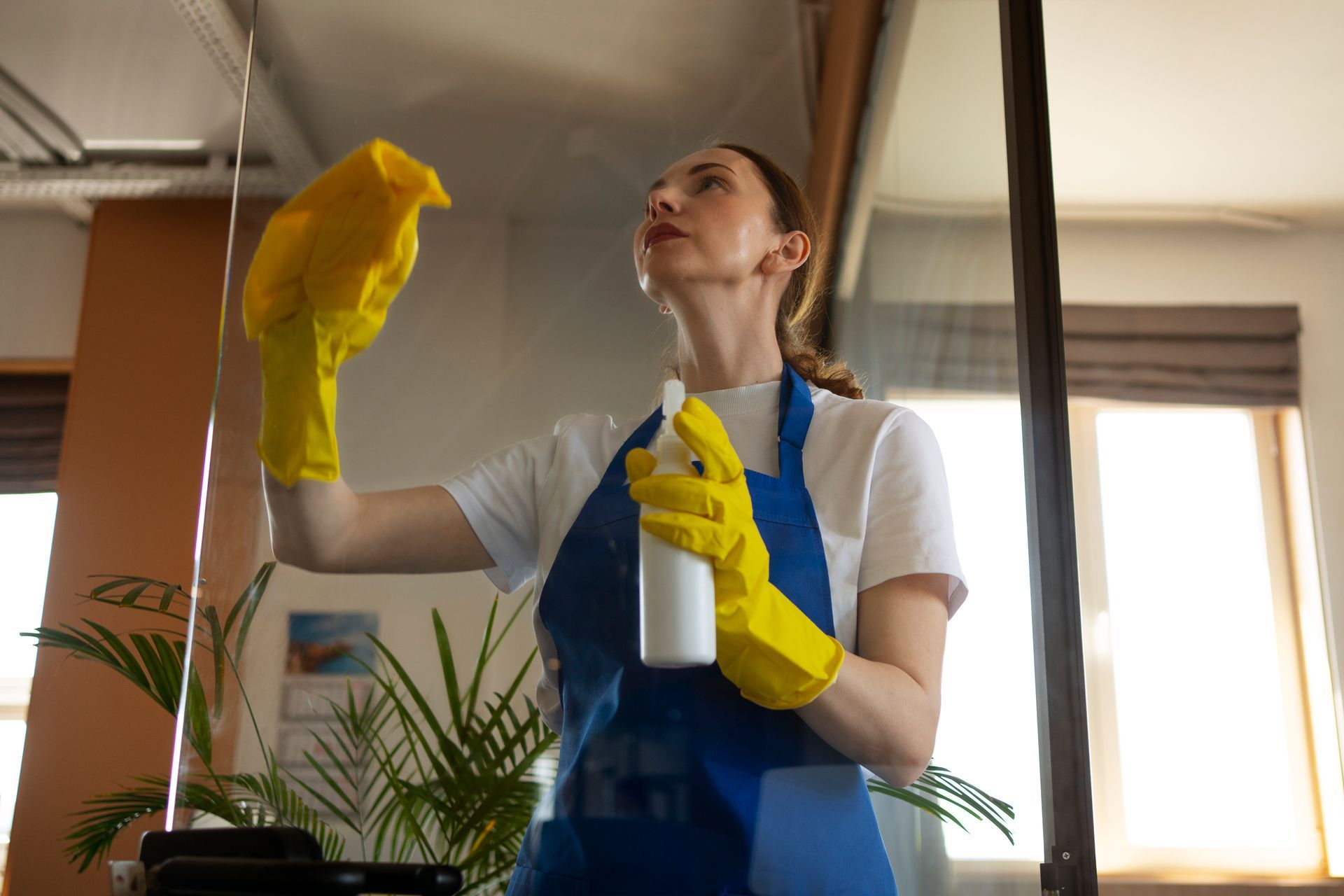 Une femme nettoie une fenêtre avec un chiffon et un vaporisateur.
