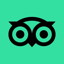 Un hibou noir avec deux yeux sur fond vert.