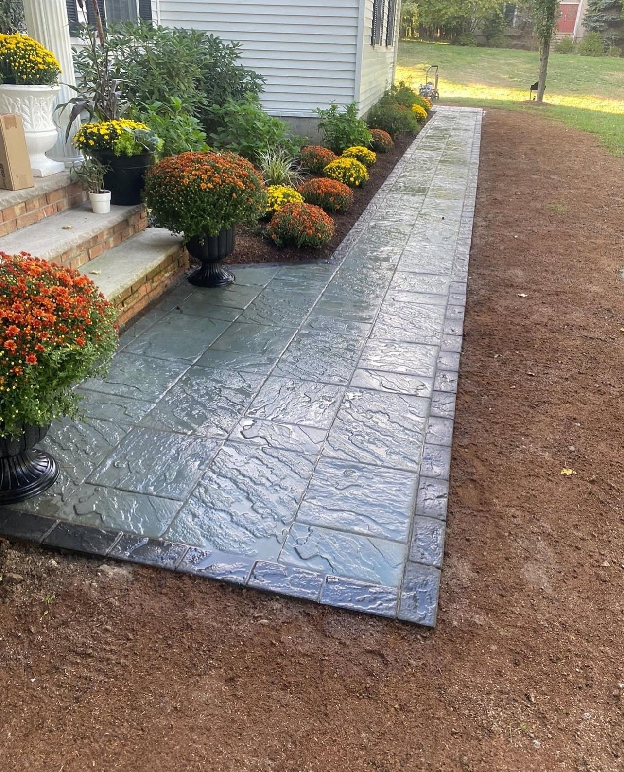 A gray textured concrete walkway leads to a house with colorful potted mums and flower beds.