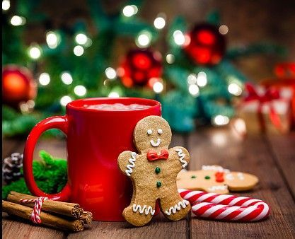 Simply Natural Christmas Sales