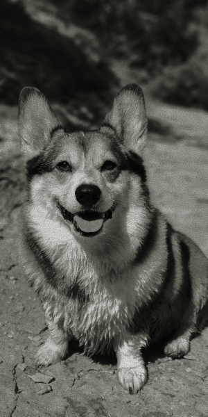 Bronson, Head of Snacks