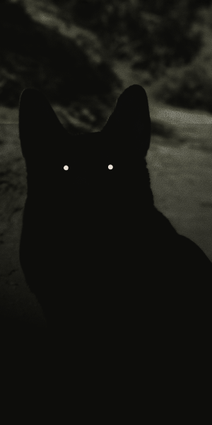 Bronson, Head of Snacks