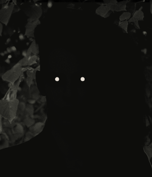 Matt Graham, President & Creative Director & Animator