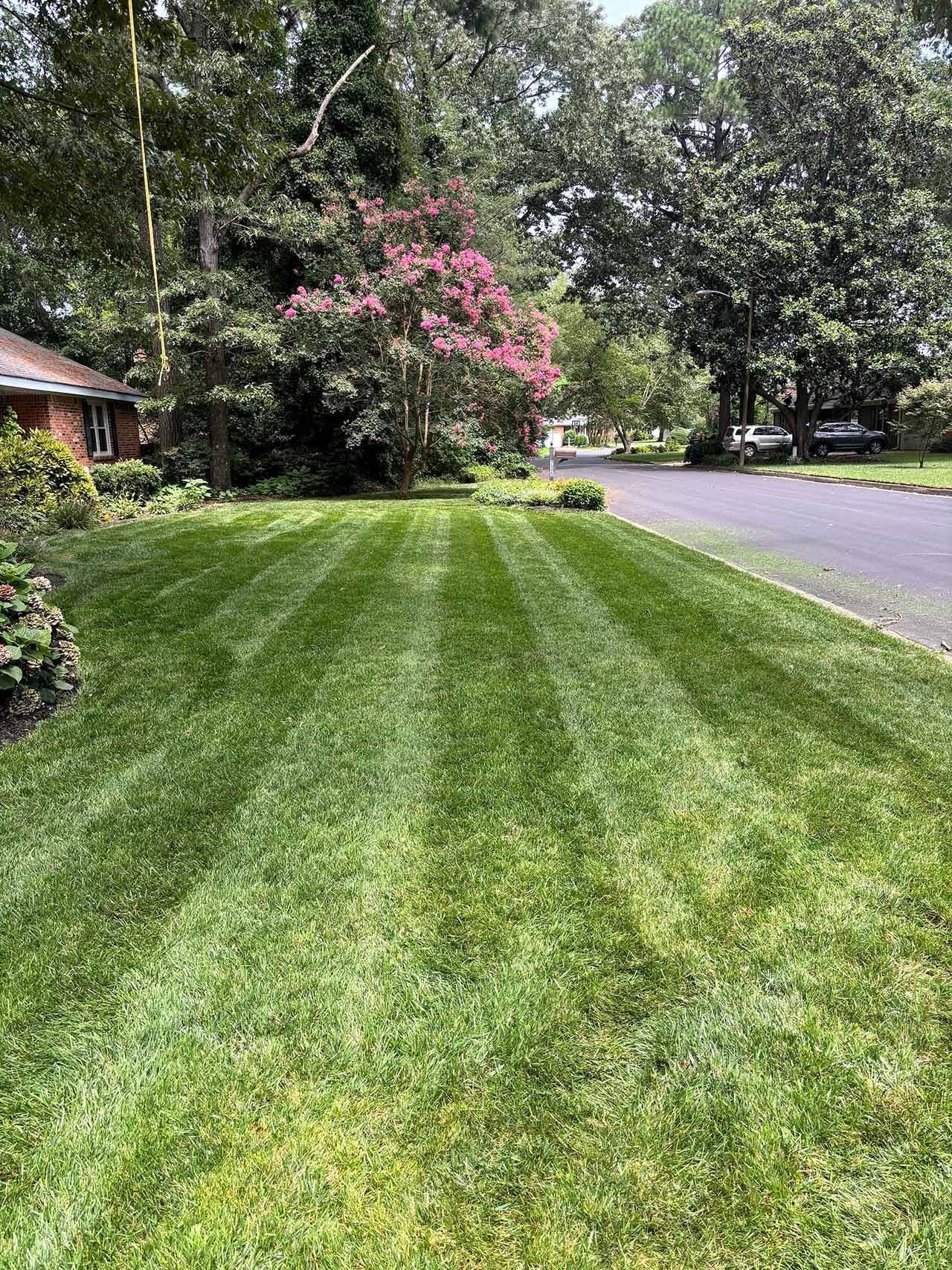 Landscape Maintenance