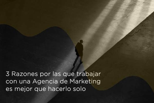 solopreneur vs agencia de marketing