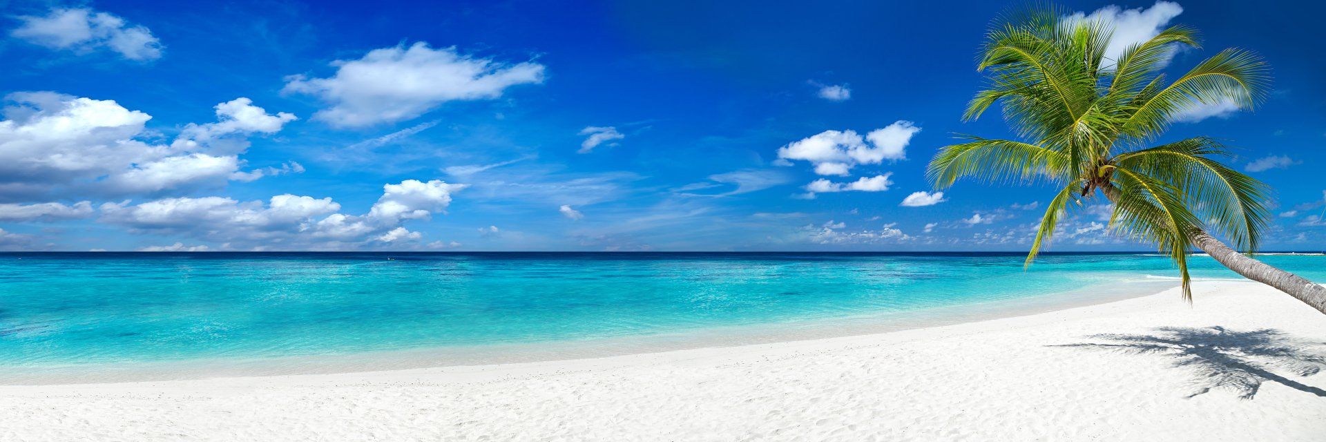 Un ciel d'un bleu éclatant parsemé de nuages ​​blancs surplombe une plage tropicale. L'eau turquoise rencontre le sable blanc bordé de palmiers.