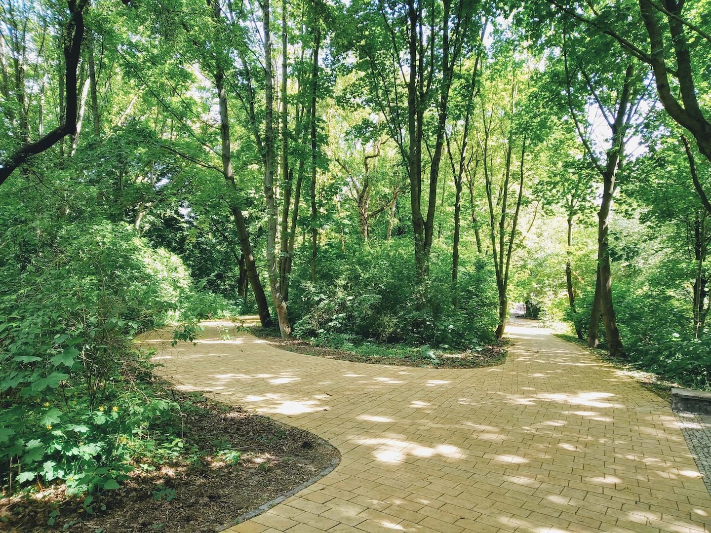 Weg im nahegelegenen Park