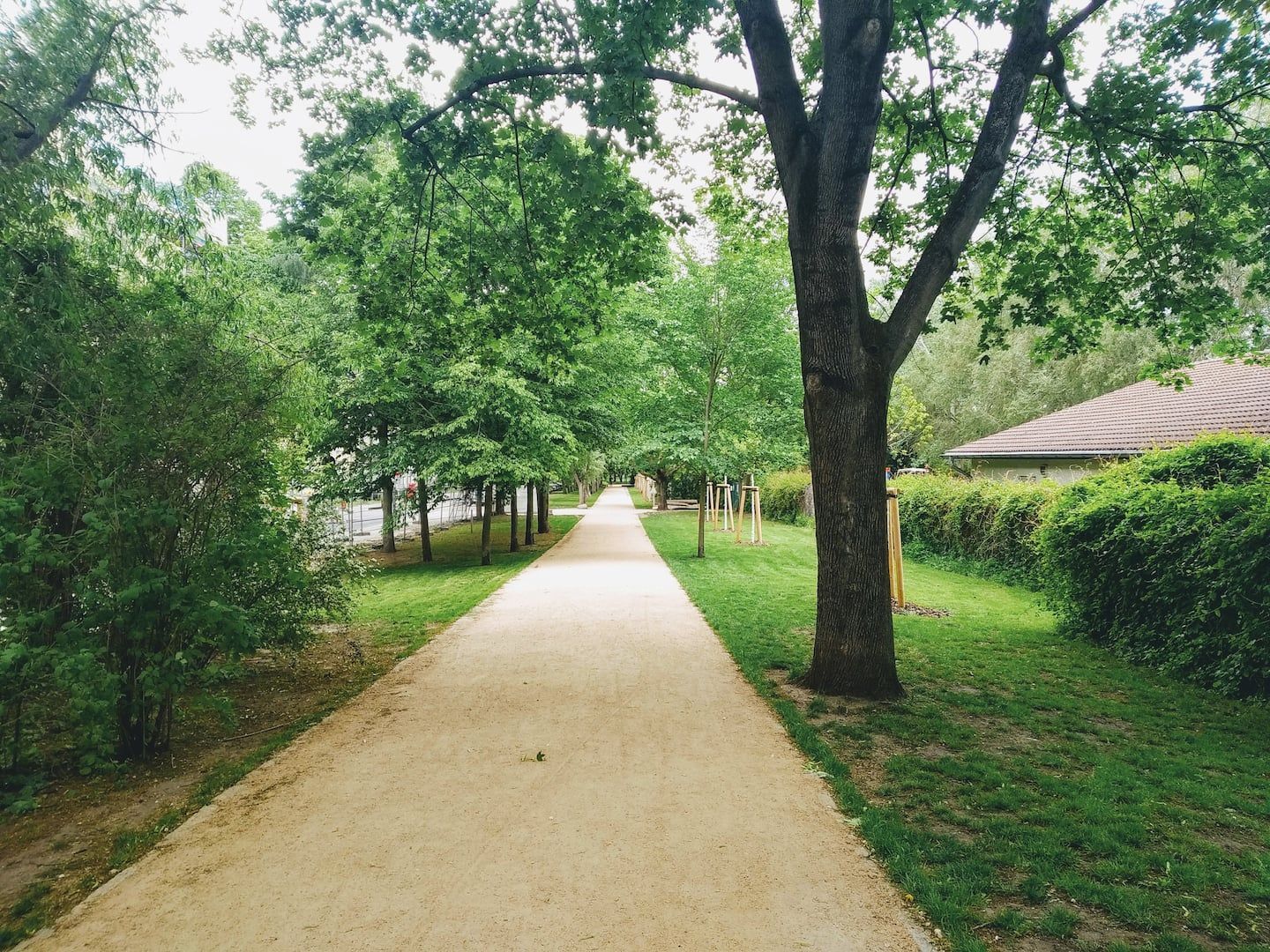 Unterwegs zum Park