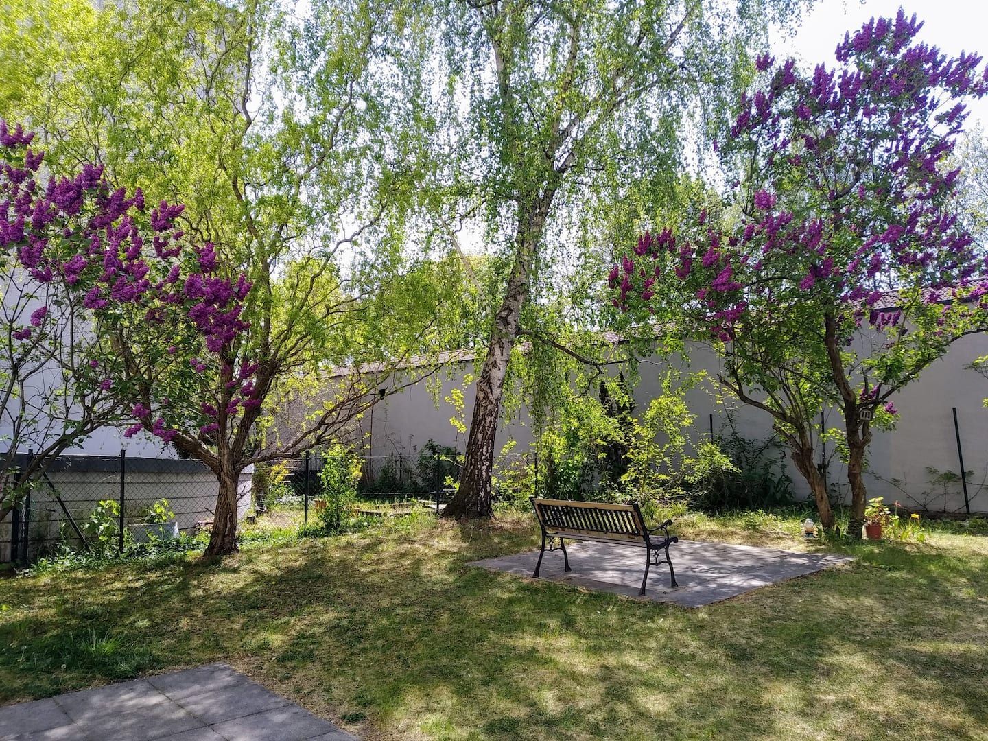 Gemeinschaftsgarten auf der Rückseite des Gebäudes