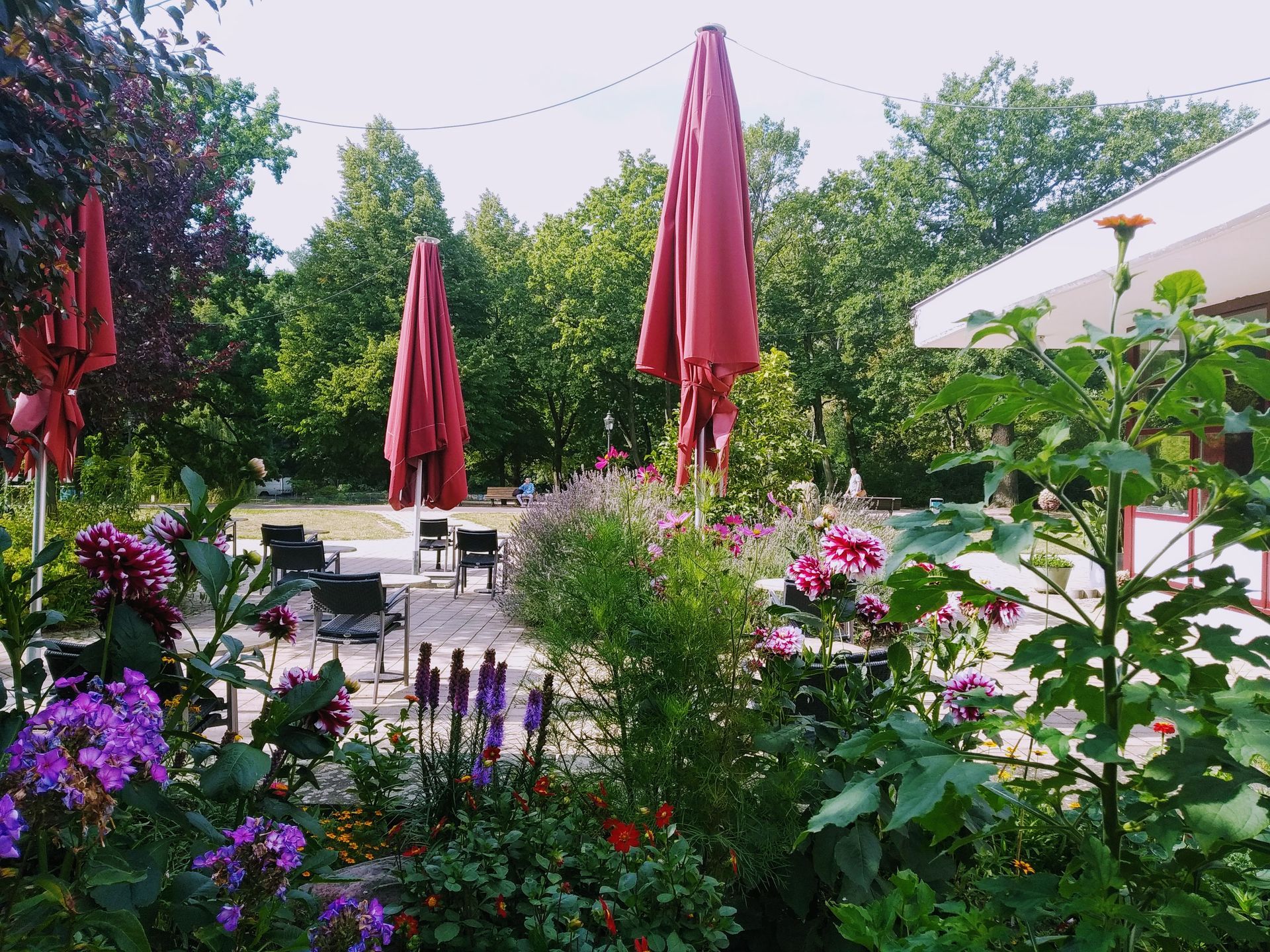Blumen und Biergarten im Volkspark Friedrichshain