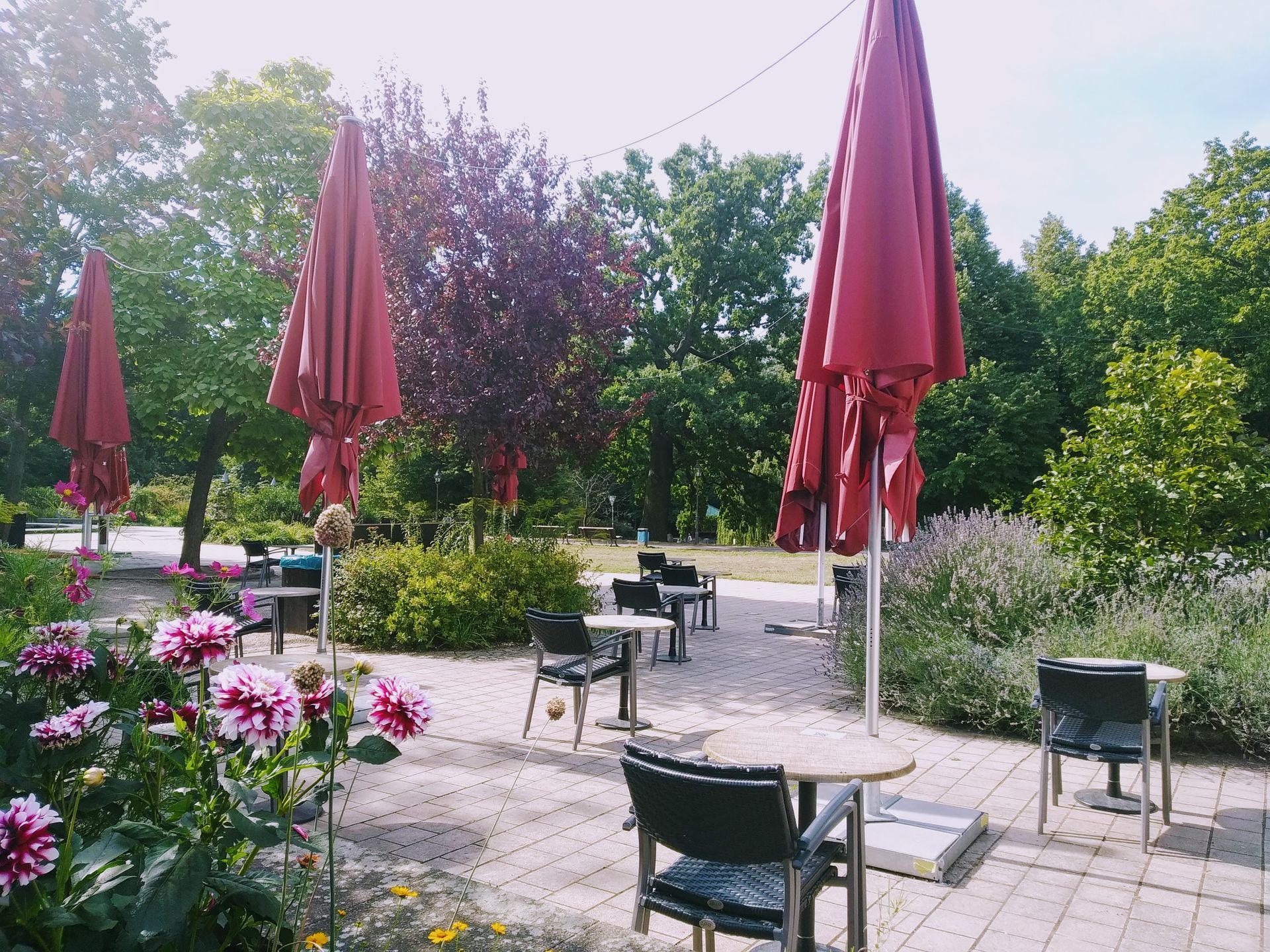 Biergarten im Volkspark Friedrichshain