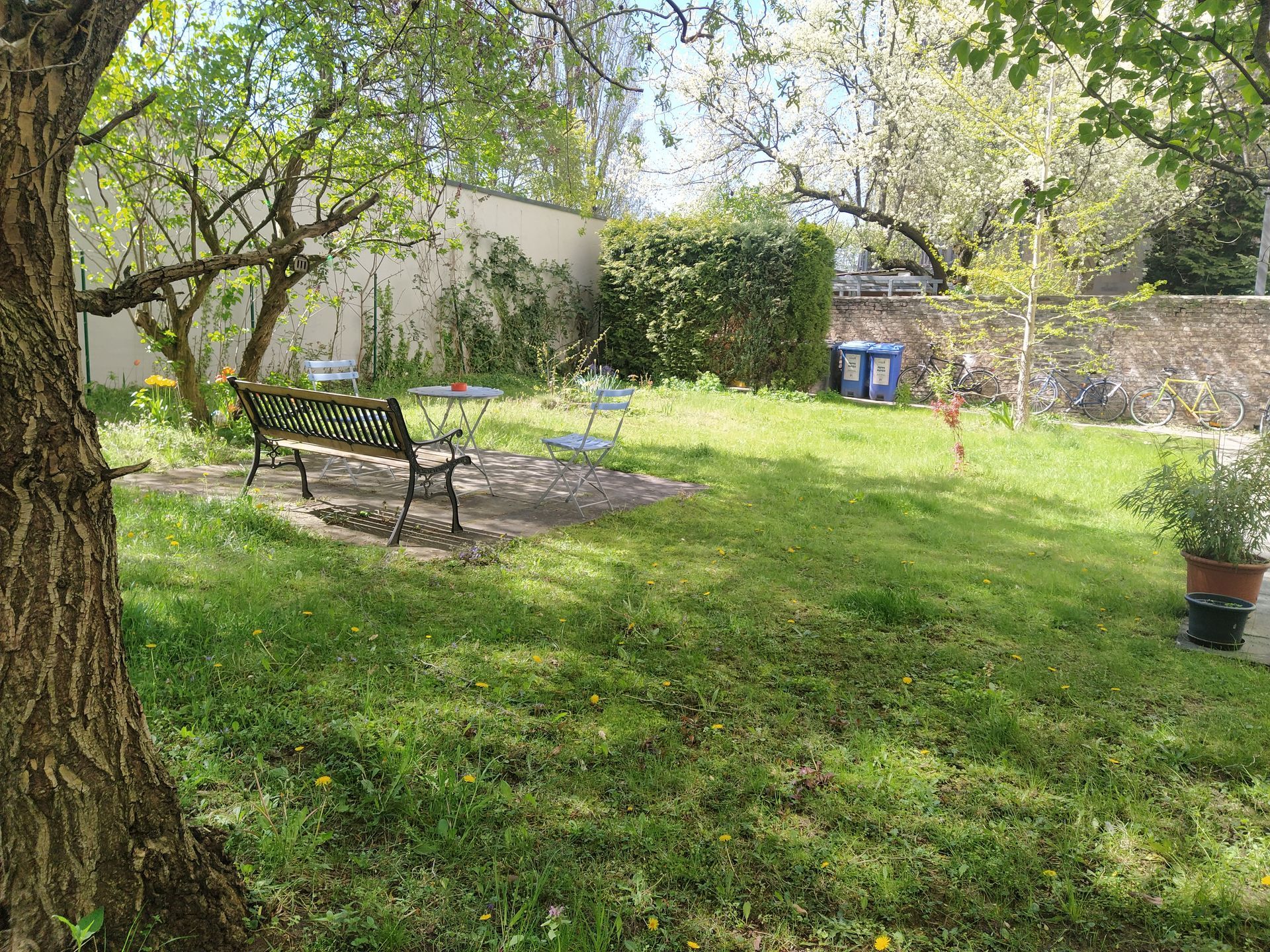Sonniger Garten mit Bäumen