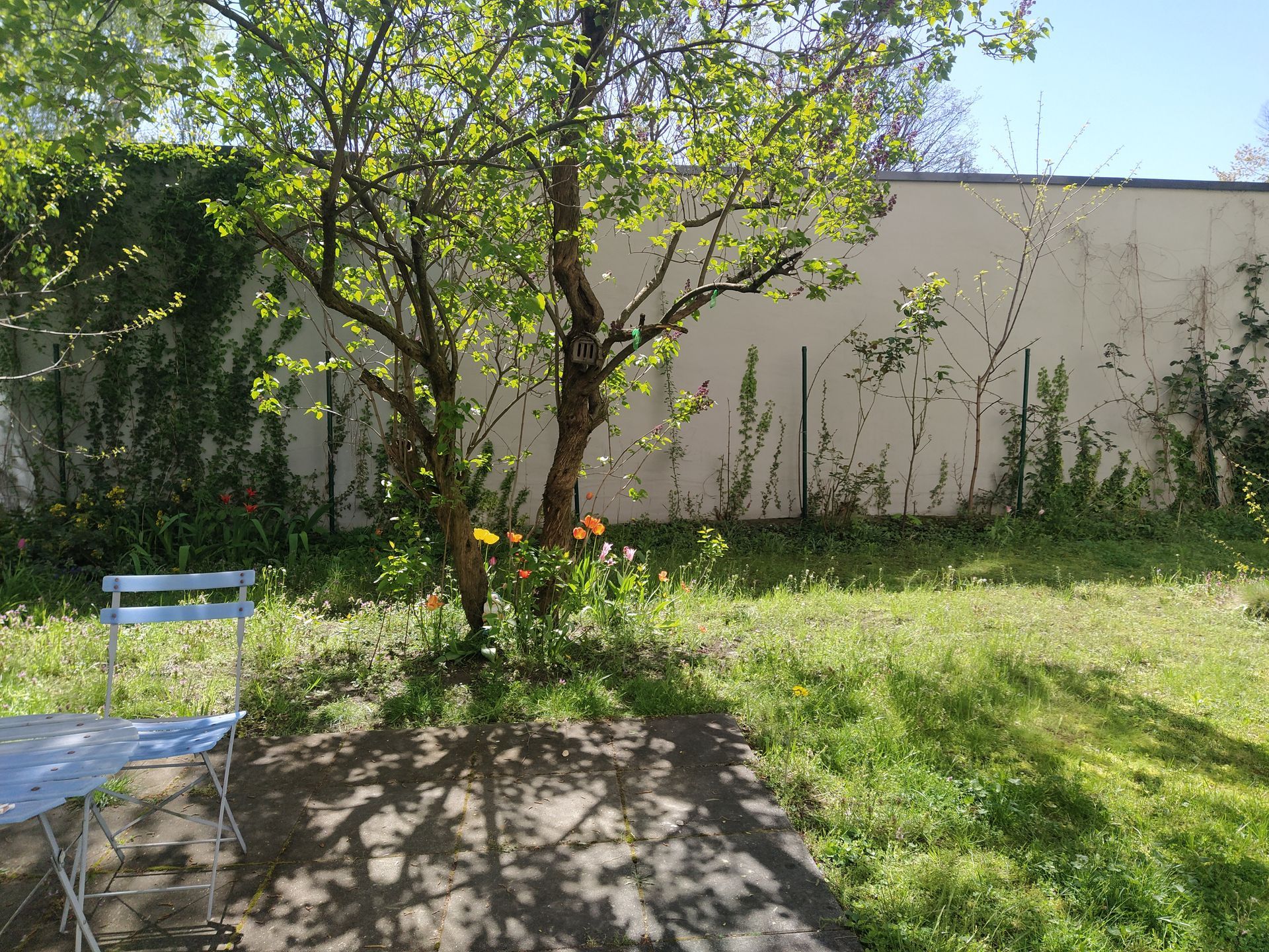 Gemeinschaftsgarten auf der Rückseite des Gebäudes