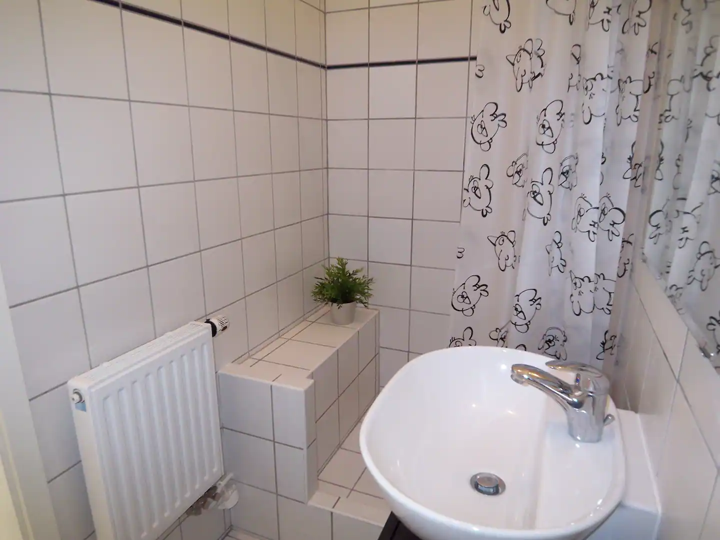 Badezimmer mit Dusche und Waschtisch