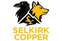 Logo: black raven and yellow wolf heads, lightning bolt, 