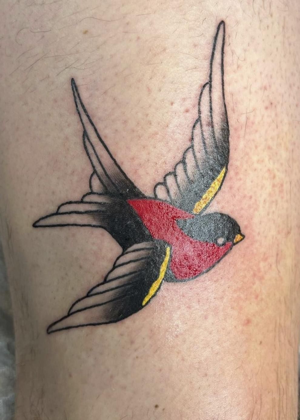 A woman with a lot of tattoos on her back and arms.