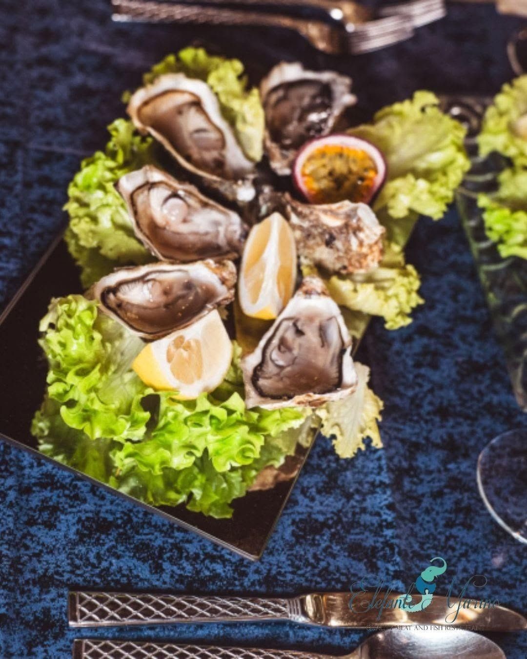 Ostriche fresche crude servite su un letto di lattuga verde con spicchi di limone