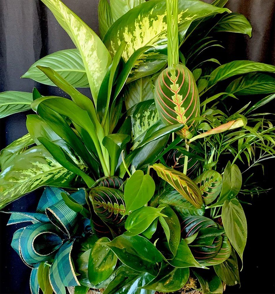 JoAnn's on 5th Flowers Odessa, TX Flower Shop