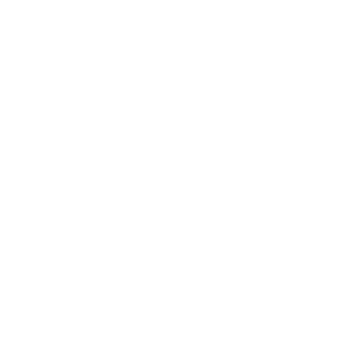 icone - Rééquilibrage énergétique
(Reiki) 