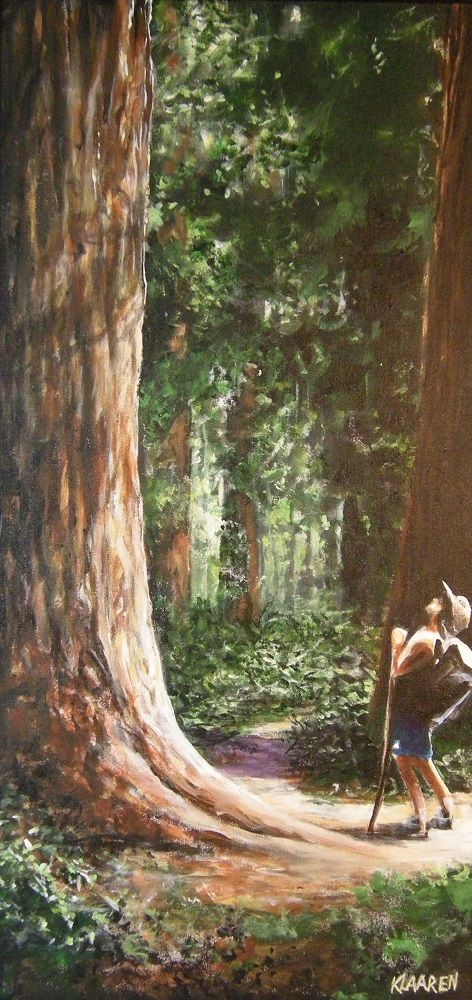 Inspiration in the Sequoias