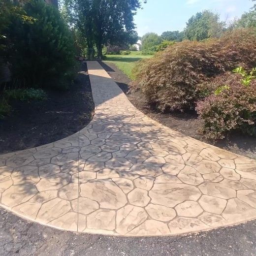 A concrete walkway going through a park with trees and bushes