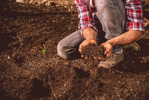 Man Holding a Soil — Wilmington, NC — Turf Masters Sod Farms