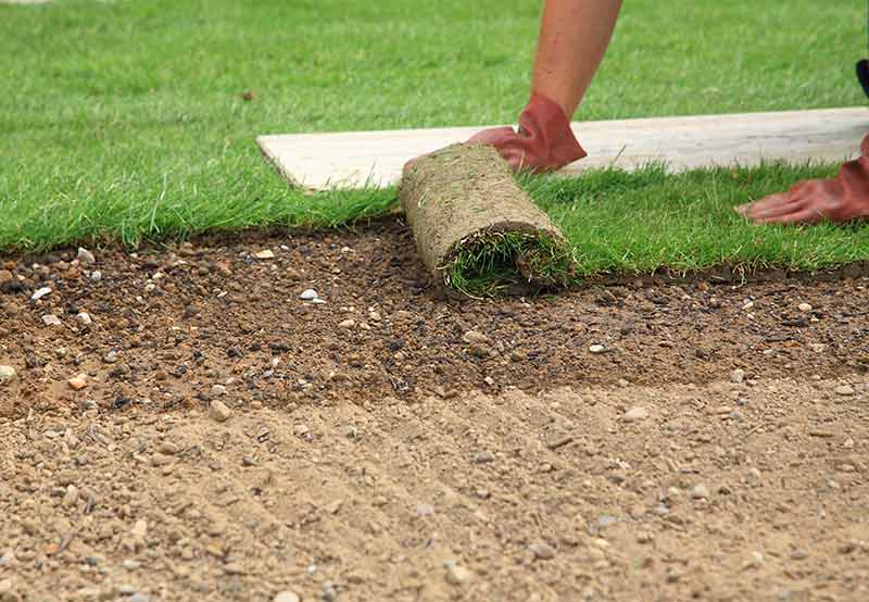 When Is The Best Time To Lay Sod? Sod University Sod Solutions ...