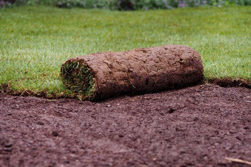 New Roll of SOD on the Ground — Wilmington, NC — Turf Masters Sod Farms