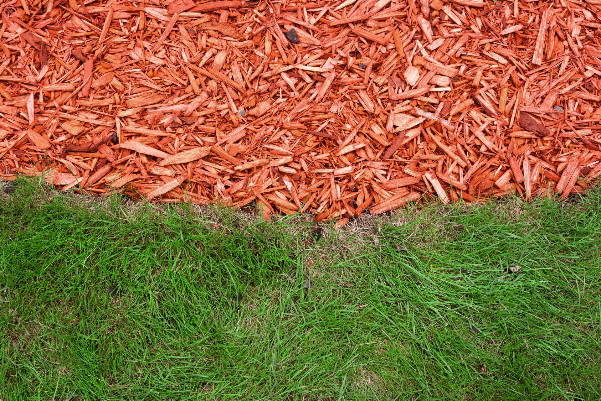 How To Mulch Your Garden 6 Best Types Of Mulch And Wh - vrogue.co