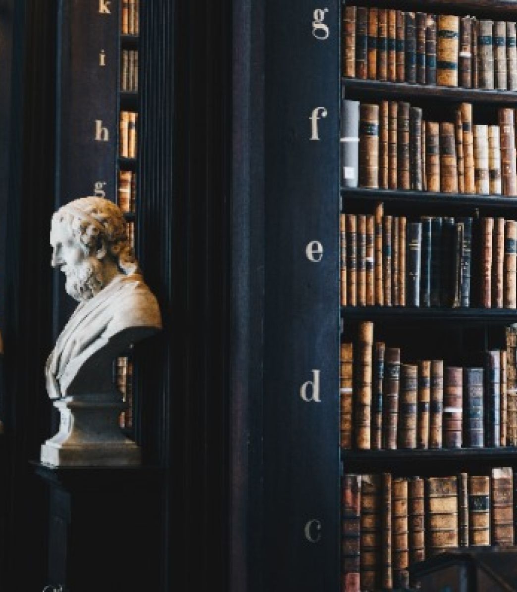 Een standbeeld van een man met een baard staat in een bibliotheek