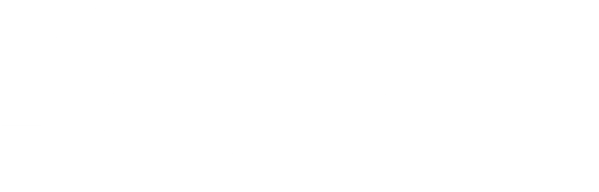 Smart Insurance Options