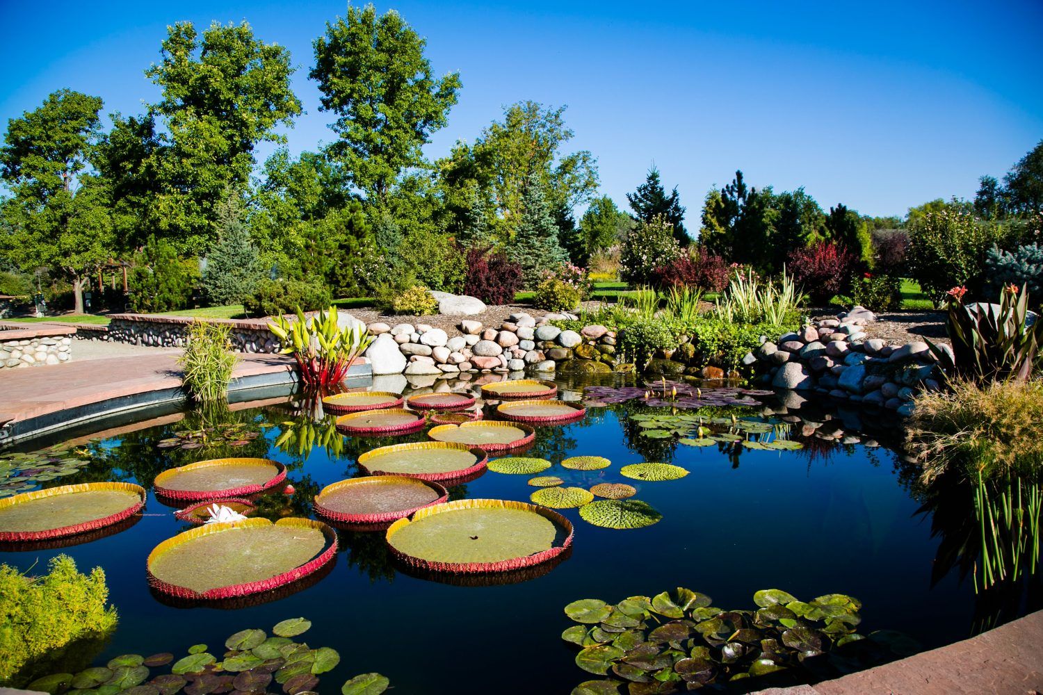 Denver Botanic Gardens