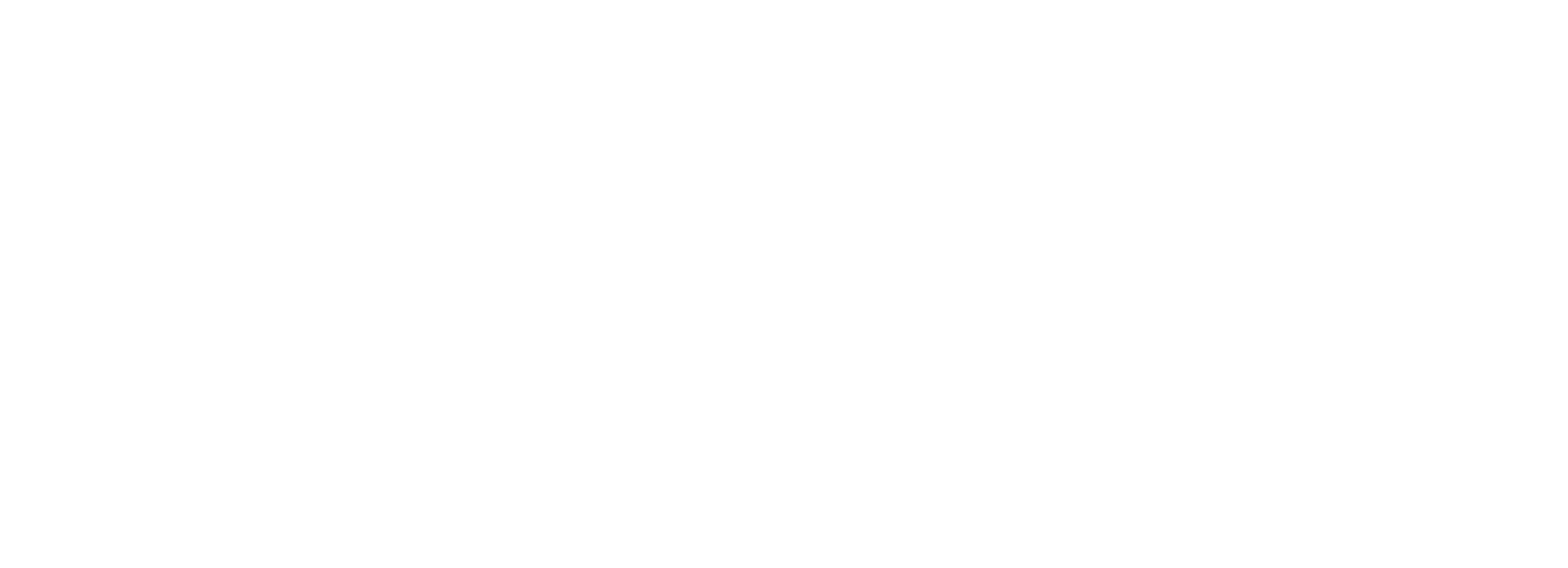 The Lynx white logo - San Antonio, TX