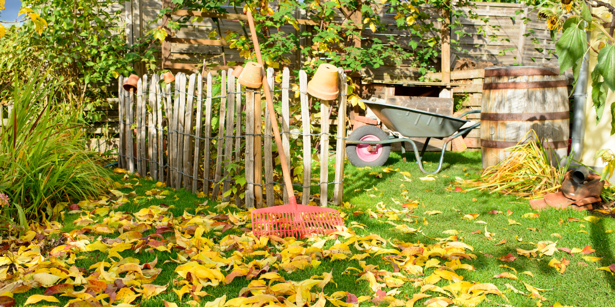 Tackling the Autumn Garden: Easy Tips for the Reluctant Gardener