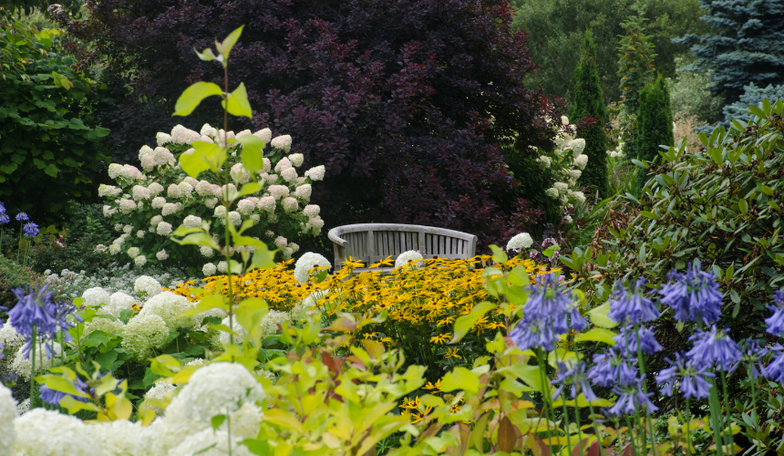 A quintessential English garden adorned with native plants, promoting biodiversity, supporting local wildlife, and enhancing sustainability.