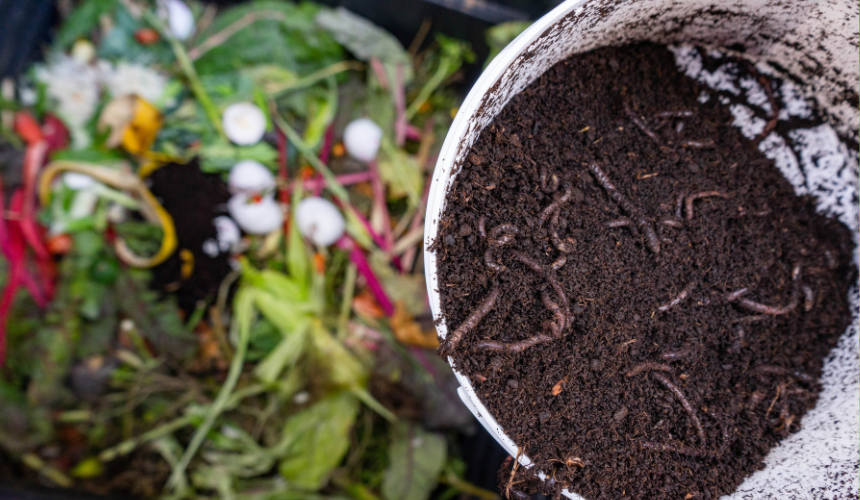 Layer green and brown materials in your compost bin for a balanced mix. Chop or shred scraps for faster decomposition. Turn the pile regularly to aerate and keep it moist, like a wrung-out sponge. Watch as your compost comes to life, creating nutrient-rich soil to nourish your garden.