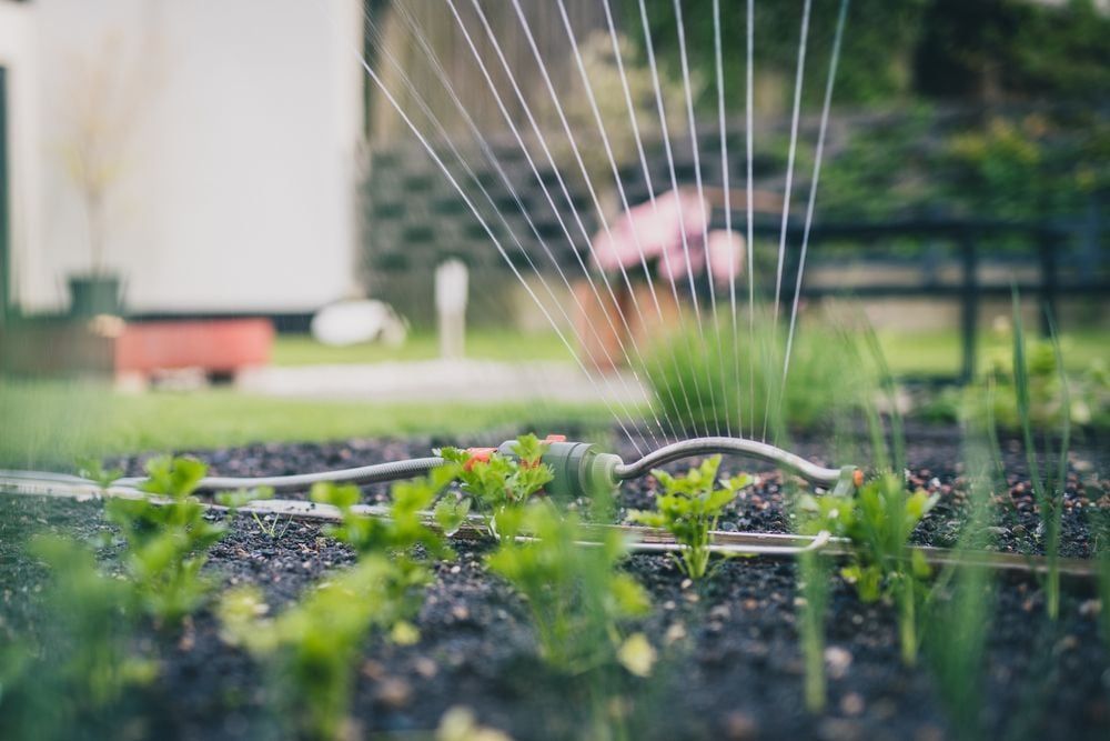 Irrigation systems don't have to be expensive. You can DIY this with some old hosepipe!