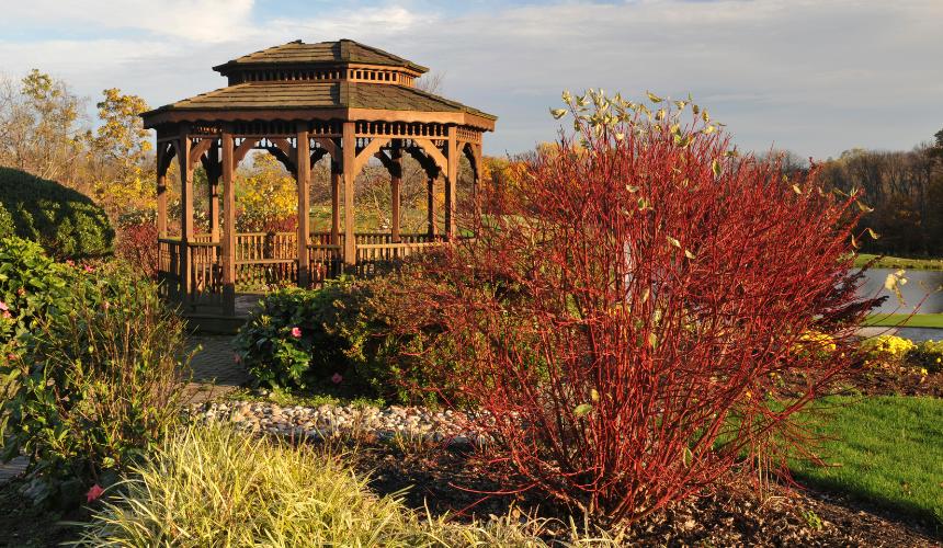 Transform your autumn garden into a cosy retreat with a luxury wooden gazebo. Add a firepit and comfortable seating, perfect for stargazing with friends on crisp autumn nights.