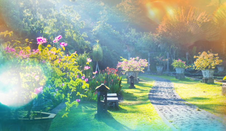 A garden bursting with vibrant colours can captivate children's imaginations and draw them into nature. A pathway bordered with colourful blooms creates intrigue, inviting visitors of any age to walk down it and explore what lies beyond. 