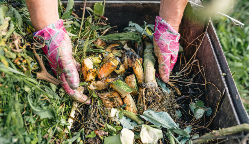 Transform waste into gold: Composting enriches your garden soil, reduces landfill waste, and promotes healthy plant growth.