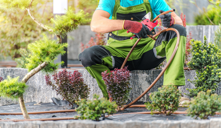 Precision watering: A drip irrigation system efficiently delivers water directly to plant roots, conserving water and promoting healthy growth.