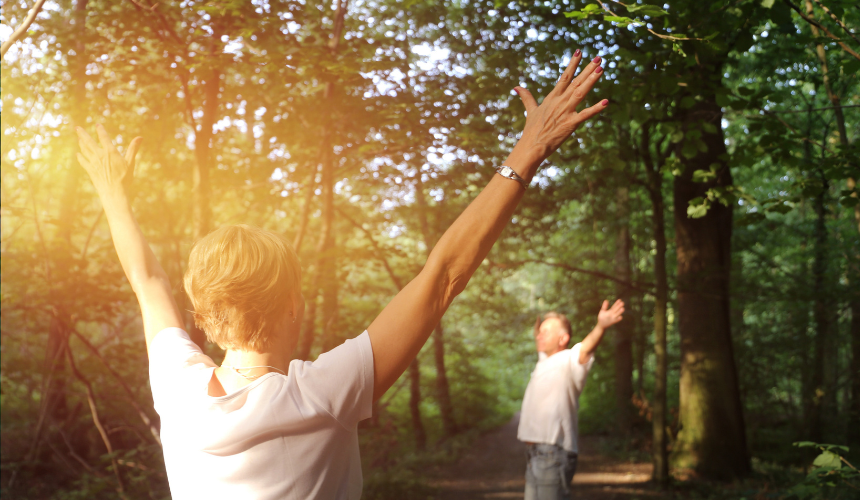 Reconnect with nature through the ancient art of forest bathing. 