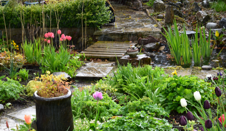 Nature's sponge: A rain garden with shallow, planted depressions that collect and absorb rainwater, reducing runoff and enhancing sustainability.