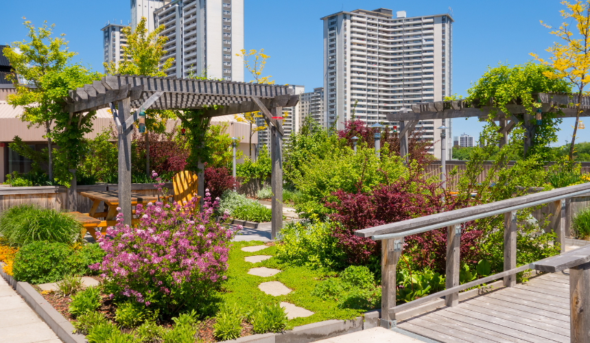 A Well-Designed Roof Garden: With expert consultation, turn your flat's rooftop into a lush oasis. Greenway can transform your living space, bringing nature and tranquillity to even the highest city dwellers.