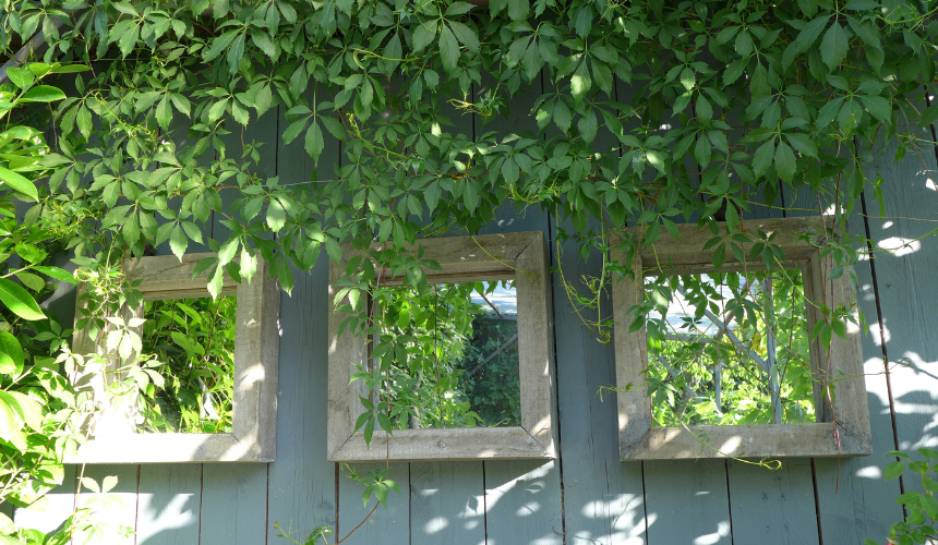 Mirrors can add depth and light to any small garden, creating the illusion of a larger space while reflecting beautiful greenery.