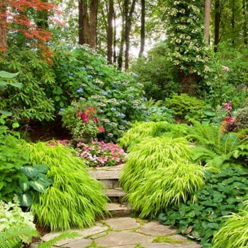 Use large shrubs to add texture and break up the space. Hardy bushes like boxwood work as natural screens, adding structure and creating cosy, private pockets within your garden.