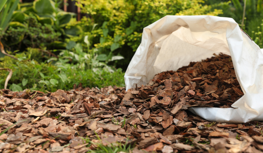 Layer your compost pile like a lasagne—alternating green (wet) and brown (dry) materials for the best results.
