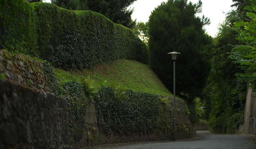 Serene sanctuary: Hedges and trees form a natural sound barrier, creating a peaceful retreat away from the nearby road.